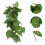 Planta Falsa Para De Répteis, Decoração Artificial 5