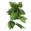 Planta Falsa Para De Répteis, Decoração Artificial 9