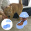 Pet Feeder Automático Para Conveniente 8