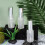 9Pcs Dull Polish Essentiell 15 Ml 3