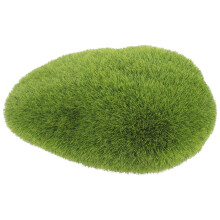 De Para Simulação De Decoração
