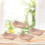 50Pcs Form Lådor Kraftpapper För Lunch Fester 9