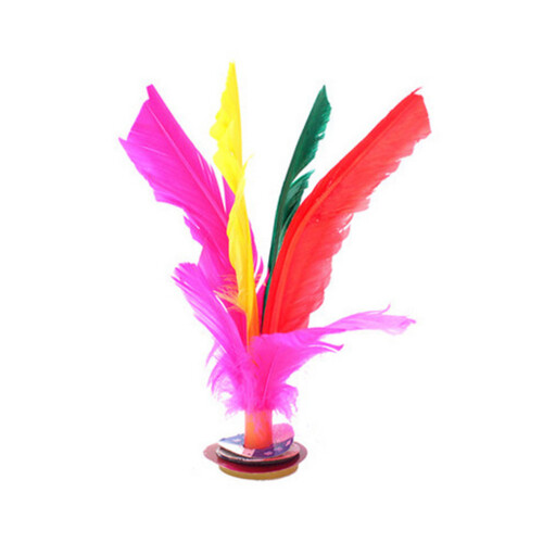 10Pcs Colorful Shuttlecock With Goose Rubber Foot 1