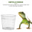 20Pcs 20 Ml Djurförråd För Höna Geckofoderrör Reptil Matmätare 7
