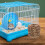 3Pcs Vävd Grässtuga Halmgrashus Fågelgö För , Hamster 5