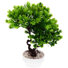 Simulation Bonsai, , Krukväxt, Välkomnande Tall