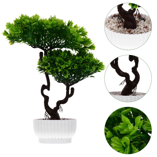 Simulation Bonsai, , Krukväxt, Välkomnande Tall 2