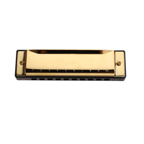 Harmonica Profissional Para Iniciantes Músicos ( )