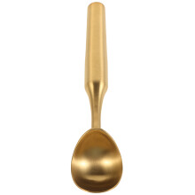 Guld Isglasskopa I Rostfritt Med Långt Handtag Antihalk Antifrys