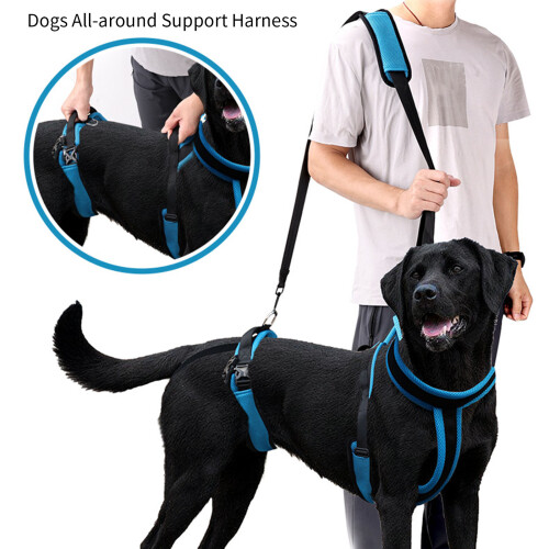 Polyester Mobility Aid Harness Support Strap Rehabilitation-M 1