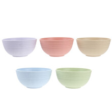 5Pcs 12 Cm Veteplast Salladsbägare Mixbägare Nudel Supp