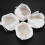 10Pcs Polisher Buffer Kit Soft Wool Bonnet Pad White 4 Inch 7