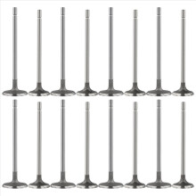 Automobile Engine Inlet Exhaust Valve Kit for Scenic Kangoo 1.4 7701471354