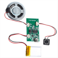 Programmable Sound Recorder Module - DIY Music Voice Recording Chip with Speaker, Can