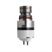 Common Rail Injector Solenoid Valve Assembly for CAT Excavator C11 C13 C15 C18 374-0750 211-3028 239-4907 2490712