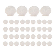 40 Conchas de Vieira Naturais, Pequenas, Brancas, de 3,5 a 6 cm, para Artesanato - Pacote com 400 Conchas Marinhas Reais