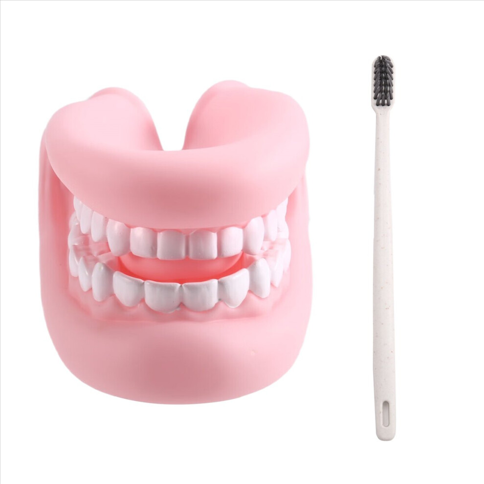 Mouth Puppet with Tongue Teeth Mouth Hand Puppet Dental Mouth Model with Toothbrush for Boy Girl Educational Tool