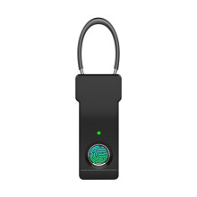Tuya Vingerafdrukslot Bluetooth Combinatieslot Koffer Bagage Codeslot Mini Vingerafdruk Sleutel Anti-Diefstal Slot B