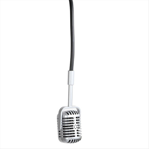 Microphone accessoire nostalgique style vintage pour studio photo, interview vidéo et diffusion en direct (doré) 2