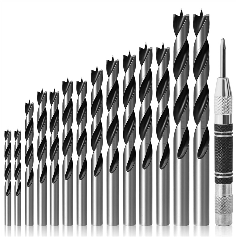 14Pcs Wood Drill Bit Set With Center Punch, With Double Flutes Design For Carpenter Woodworking And All Types Of Wood 4851434117132