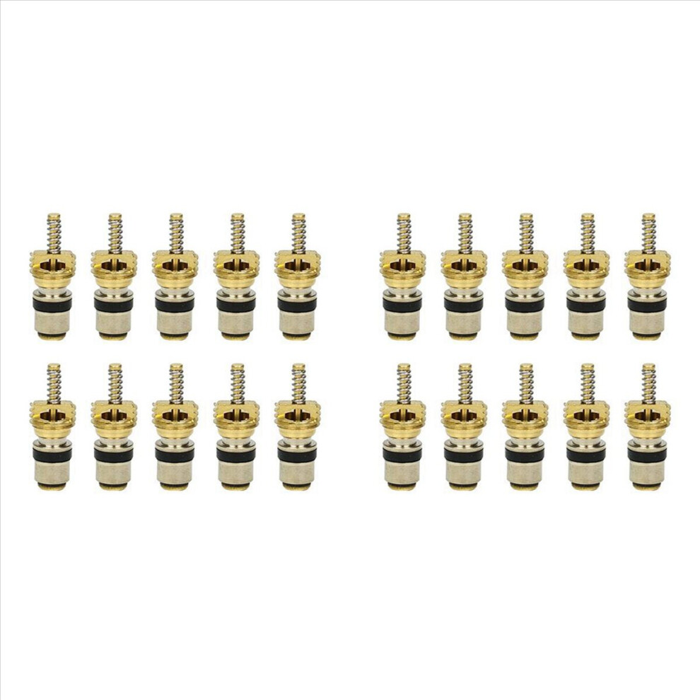 20Pc Air Conditioning Charge Cold Medium Interface Valve Core For Elysee Beverly 4853796378510