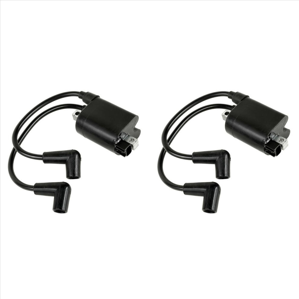 2X High Voltage Ignition Coil Module 72866G01 72866-G01 Epigc104 For Golf Cart Ez-Go 2003- 4853796372419