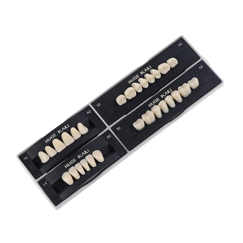 Dental Materials Synthetic Resin Teeth Plastic Steel Full Dentures Artificial Preformed Denture Teeth Dental Tools