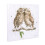 Wrendale Wrendale Designs - 'Birds Of A Feather' Small Canvas 1