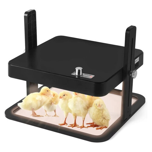 Small Brooding Kiosk with Pet Heating Heating Plate Safety Temperature Control Intelligent Chicken Heater EU Plug