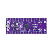 W806 MCU-Entwicklungsboard IoT Flaches Low-Power-MCU-Chip-Core-Board mit verbesserter Touch- und Peripheriesystemintegration