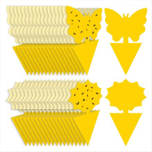 72 PCS Fruit Fly Sticky Traps Gnat Traps Insect Trap for Plants Kitchen Indoor Outdoor