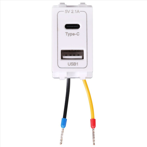 New USB Type-C Dual Port Power Module 220V Socket 5V 2.1A Phone ...