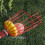 Adjustable Fruit Picker Tool with 1.6m Extendable Pole for Easy Harvesting 6