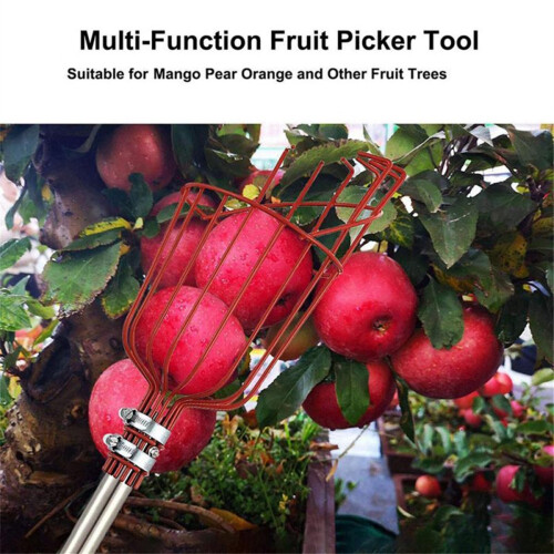 Adjustable Fruit Picker Tool with 1.6m Extendable Pole for Easy Harvesting 2