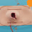 Large Wound Model, Hemostasis Control Training Medical Teaching Model, Trauma Simulation Training 3