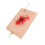 Trauma Wound Simulation Module Trauma Wound Skin Module for Training Exercises Wound Packing Task Trainer 2