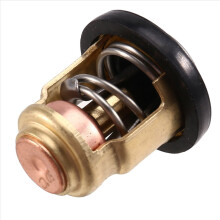 Thermostat 66M-12411-00 für 4-Takt F 40 50 60 80 100 Außenbordmotor 66M-12411-01 66M-12411