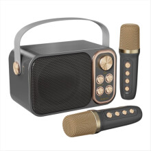 Tragbare Karaoke-Maschine mit RGB-LED-Beleuchtung, kabellosen Mikrofonen, HiFi-Stereo-Surround-Soundeffekten für Partys