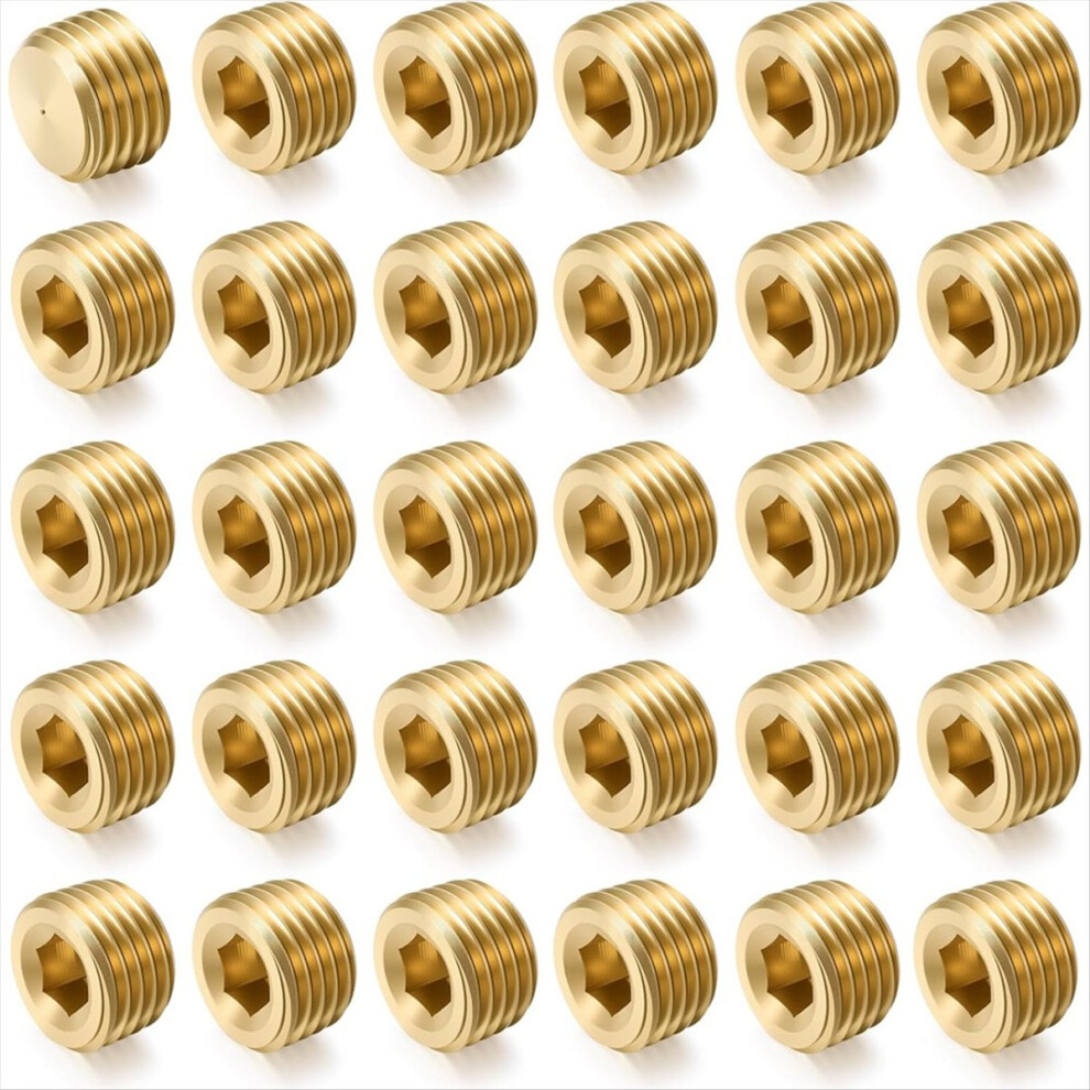 30Pcs 1/4"Npt Male Pipe Plug Fitting Set Internal Hex Thread Socket Pipe Plug Kit Hex Counter Sunk Plugs For End Closure 4853165767174