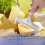 6pcs Cheese Slicer Kit, Wrench Comfortable Handle Wire Replacement for Block Butter Adjustable Slicing Kitchen Tools 3
