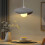20CM Creative Personalized Pendant Light Indoor Ceiling Light E27 Retro Pendant Light Modern Grey Pendant Lights 2