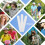 Hat Sweat Liner, Liners Protection for Baseball Ca 6
