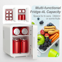 Makeup Fridge with LED Light Mirror 4L Mini for Be