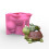 3D Tortoise Silicone Flower Pot Molds Turtle Succu 5