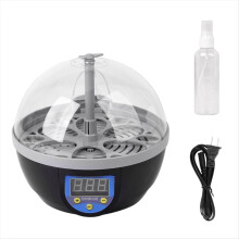 6 Egg Incubator Automatic Temperature Control Hatc