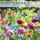 4Pcs Bee Watering Station Cups Water Feeder Colorf 7