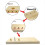 Adjustable Woodworking Drilling Guide Locator Punc 6