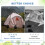 4pack Canopy Water Weights Bag ,220 LBS Gazebos Te 7
