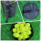 Versatile Sports Ball Bag with Adjustable Strap fo 7