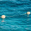 Oval Water Float, 12 Pack, 1/2Inch Hole, 3.5x 5.5I 5
